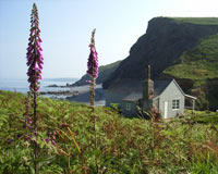 Stay to buy Cornwall