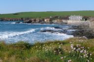 Luxury Family Friendly Beachhouses in Cornwall