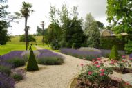 Exclusive English Garden Tours