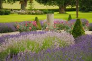 English Gardens in Devon