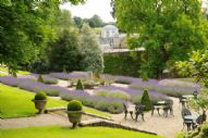 Cornish Garden Tours