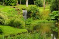 Guided English Garden Tours