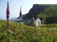 Luxury Beach Houses in Cornwall