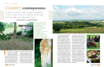 Country Contemporaneo
