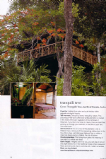 Unique Tree House Stay in India